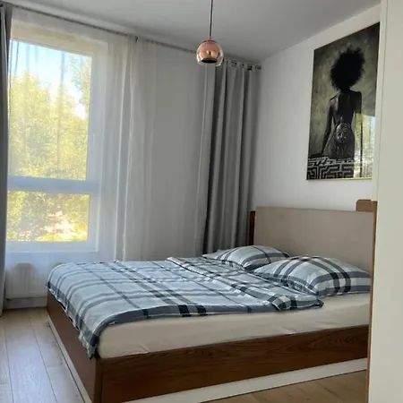 Ekskluzywny Apartament Chlebova Daire